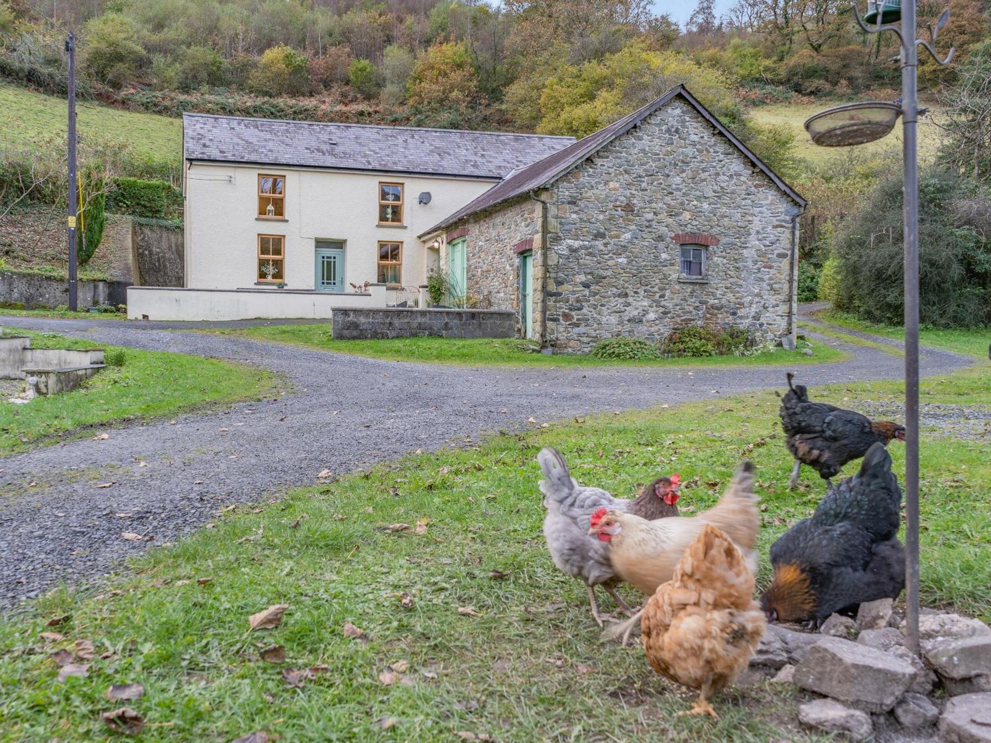 Pwll Farmhouse Llanllawdog Eksteriør billede