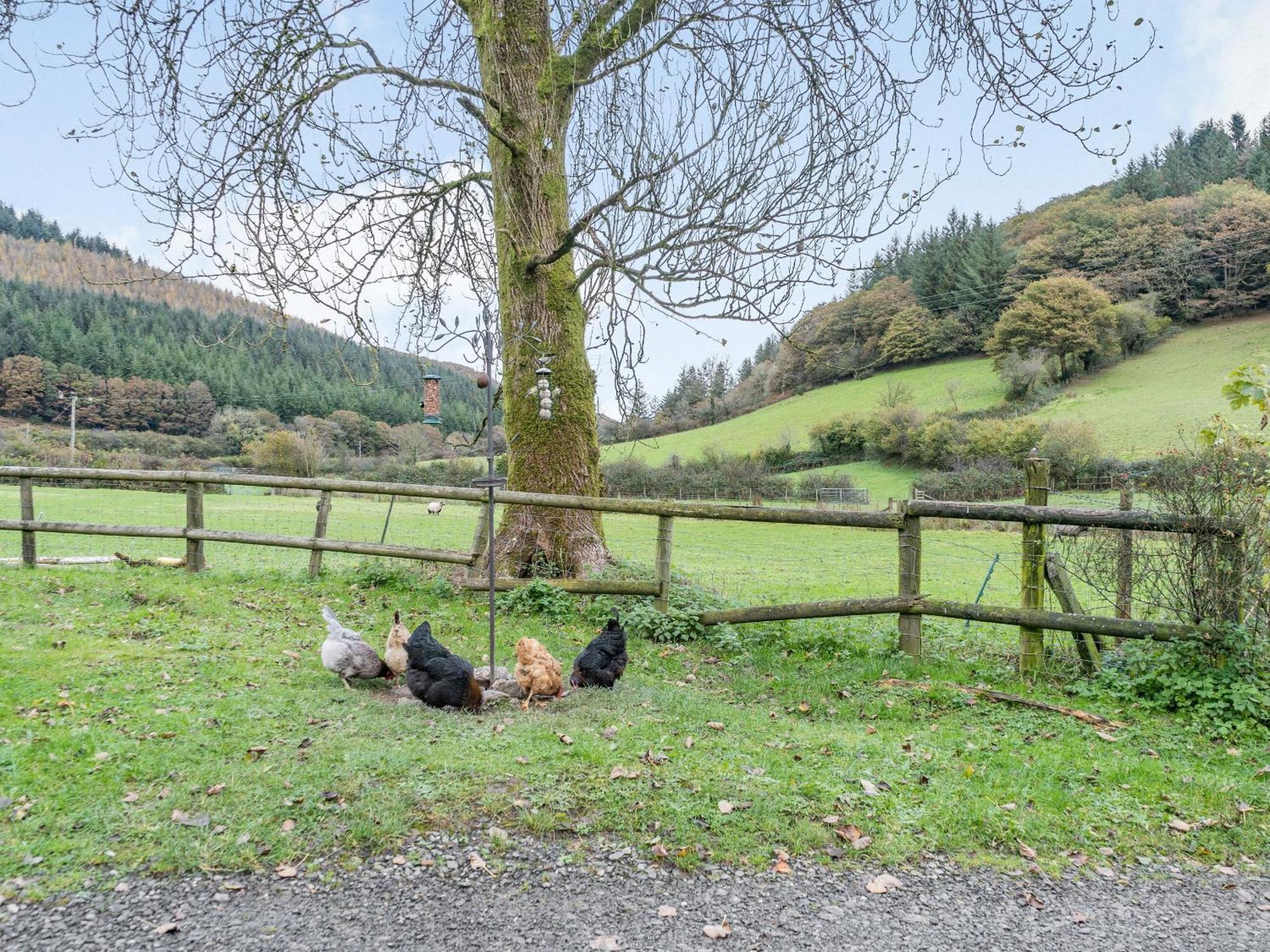 Pwll Farmhouse Llanllawdog Eksteriør billede