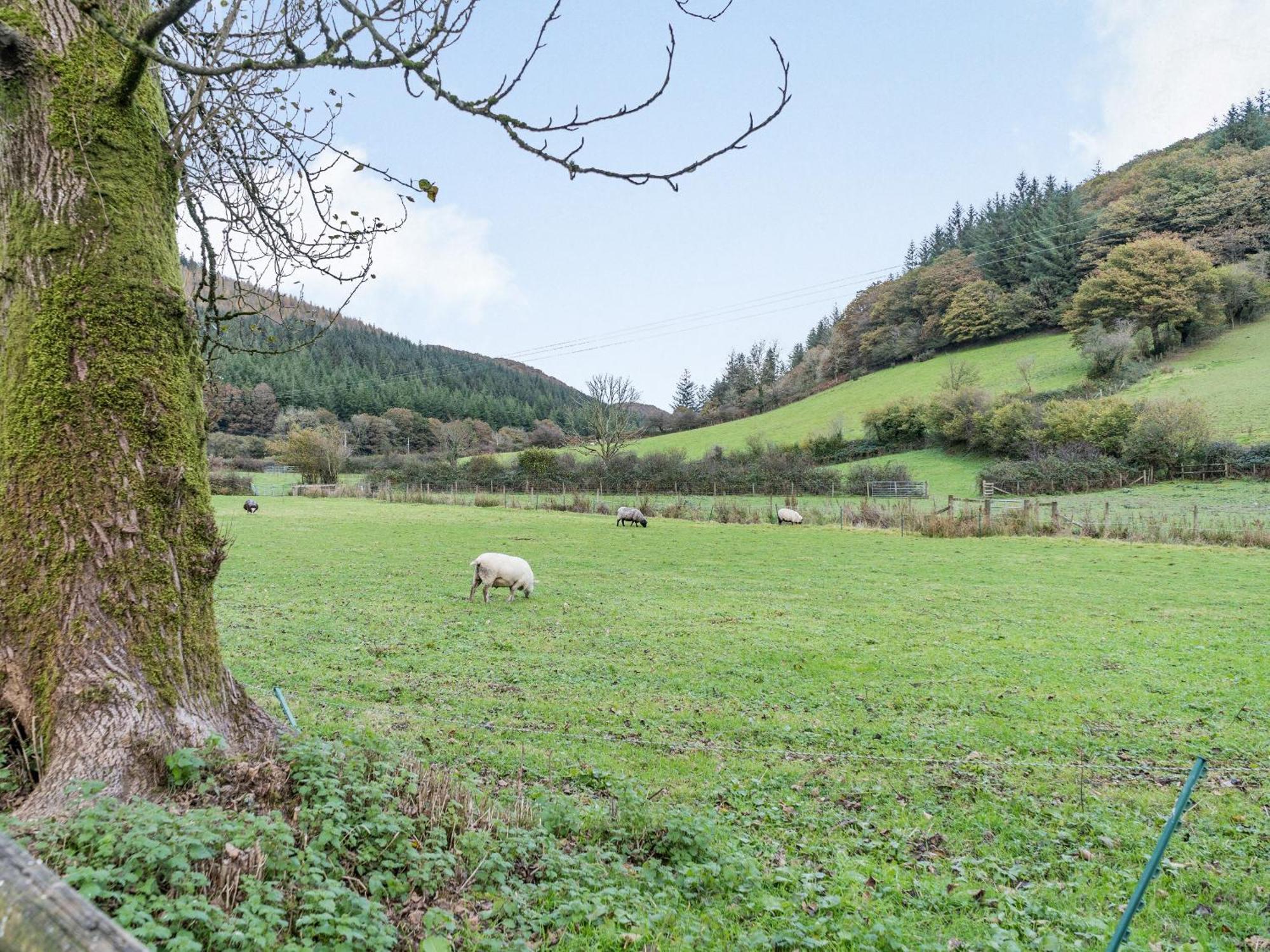 Pwll Farmhouse Llanllawdog Eksteriør billede